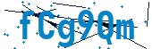 recaptcha