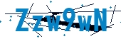 recaptcha